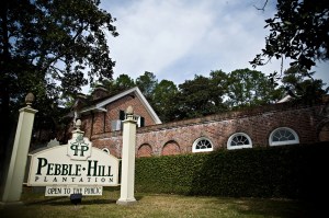 Browne Photography Images