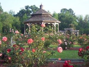 rose-garden1